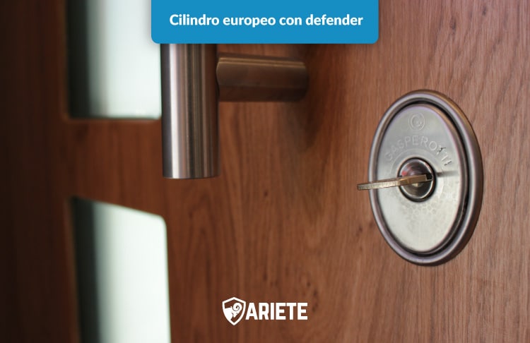 euro cylinder with defender