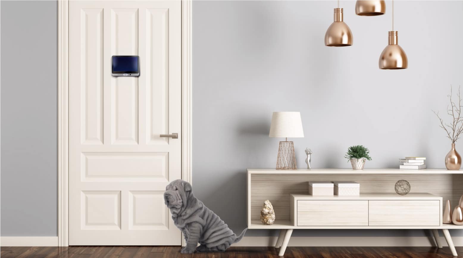 Electronic door viewer with motion sensor