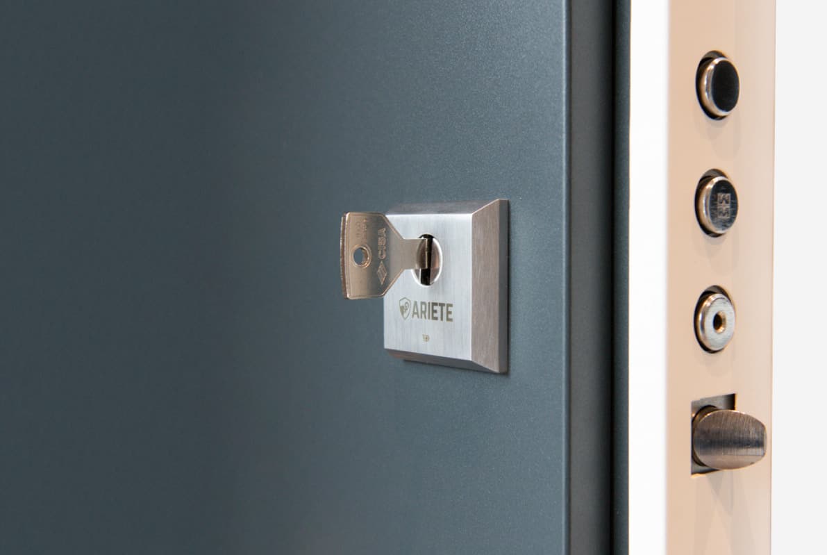 armoured door defender