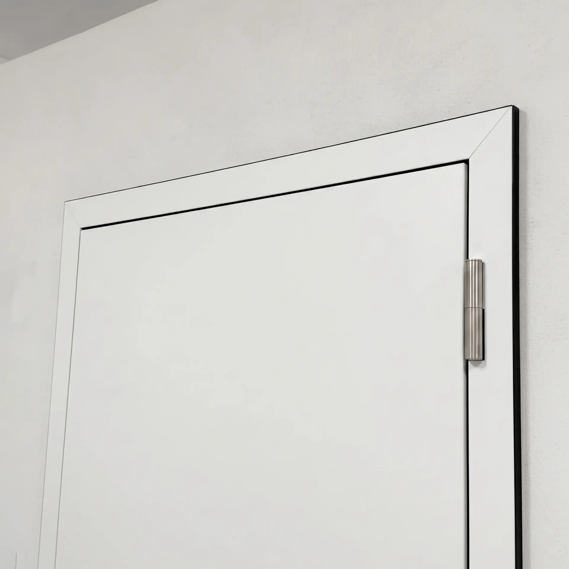 armoured door hinges