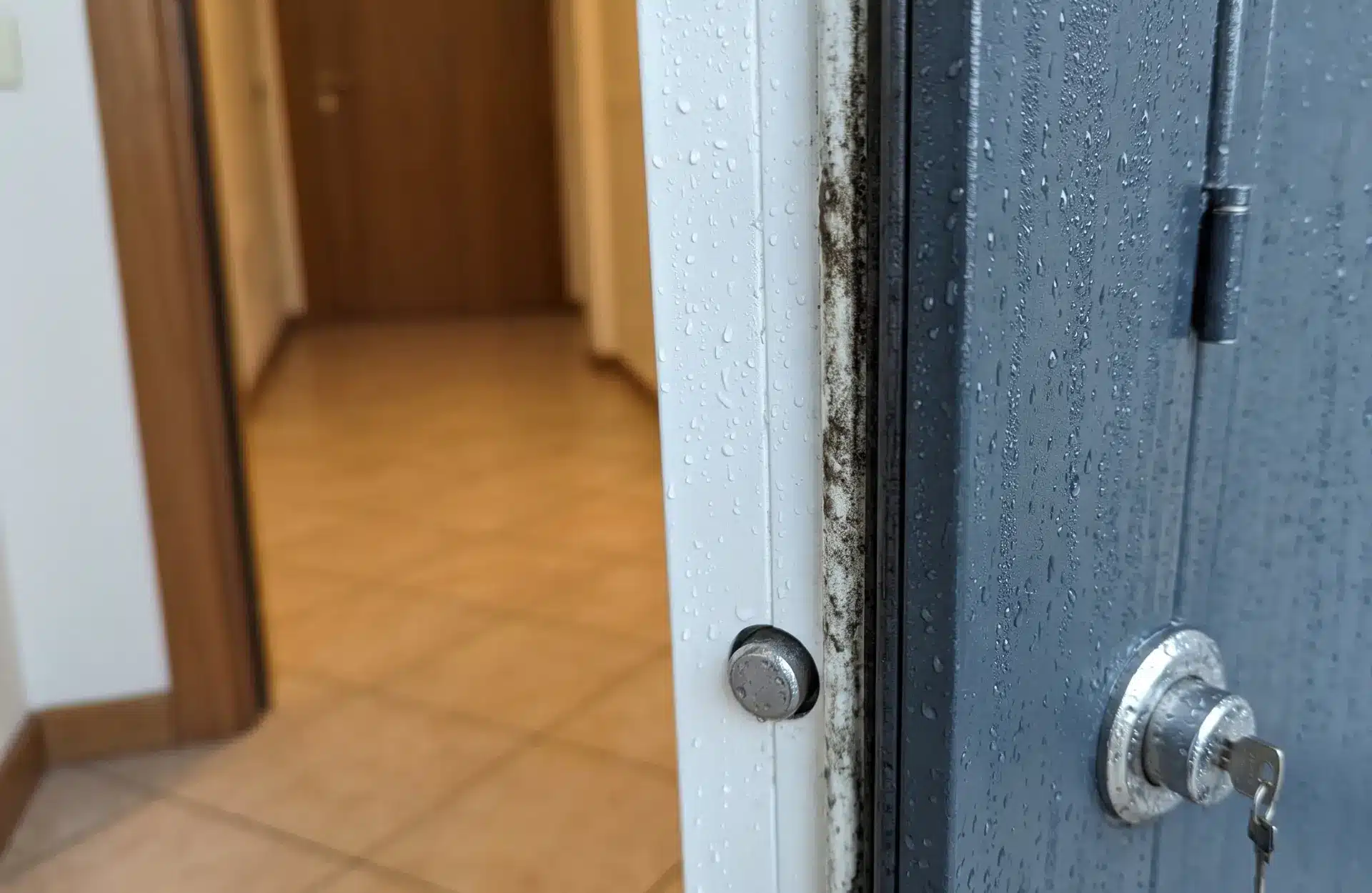 condensation on the front door