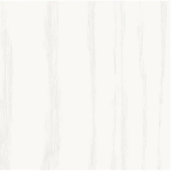 white open-pore ash RAL 9010 armoured door