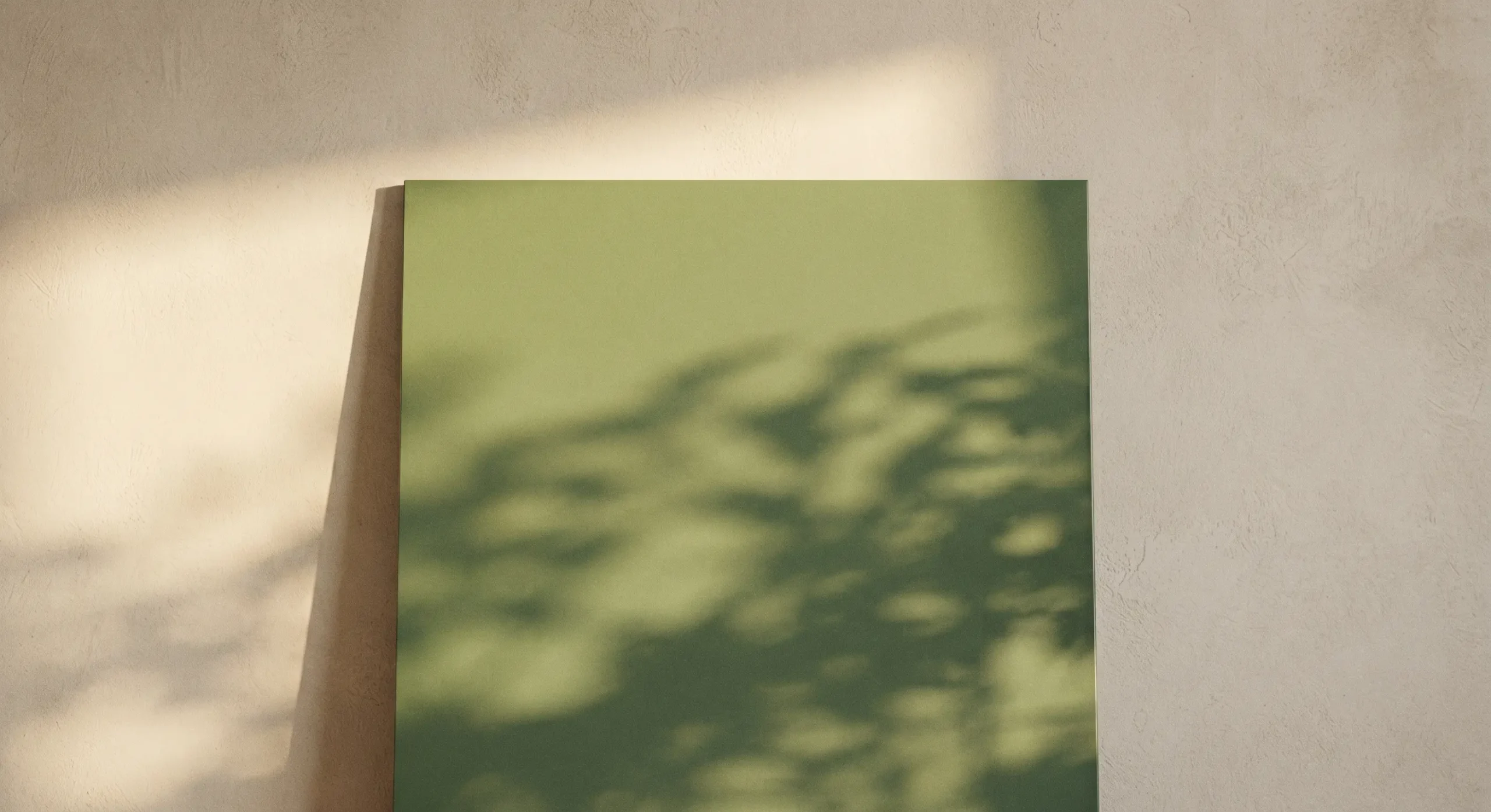Green armoured door panel with the shadow of leaves, in natural light