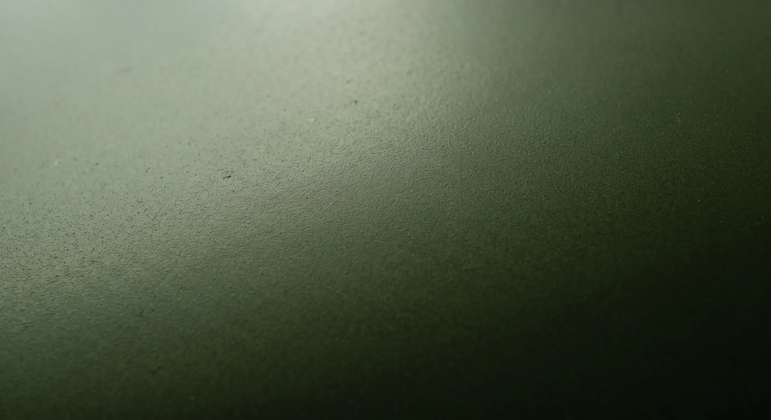 Moss green RAL 6005 lacquered surface of an Ariete armoured door